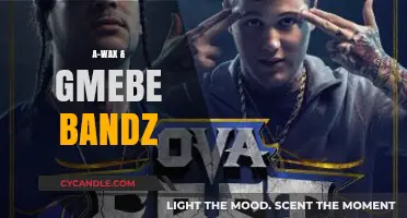 Harmony in Diversity: The Melodic Fusion of A-Wax & GMebe Bandz