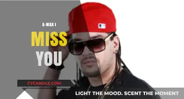 Echoes of Longing: The Melancholic Ballad of 'A-Wax I Miss You