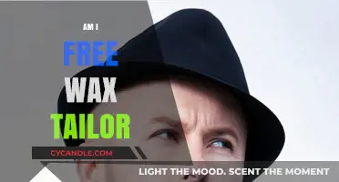 Exploring Freedom: A Deep Dive into Wax Tailor's Philosophy