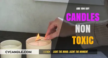 Soy Candles: Non-Toxic, Natural, and Healthy?