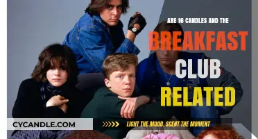 Similarities Between 16 Candles and The Breakfast Club