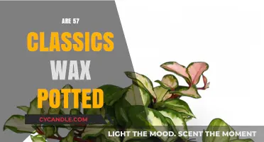 Exploring the Timeless Charm of 57 Classic Wax Potted Plants