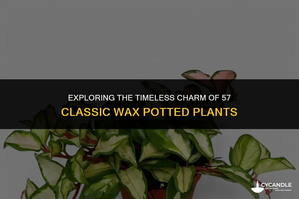 are 57 classics wax potted