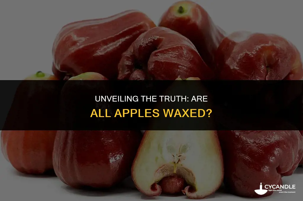 are all apples waxed