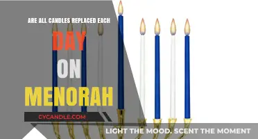 The Menorah: Daily Candle Replacement Ritual Explained