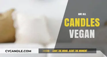 Vegan Candles: What's the Buzz About?