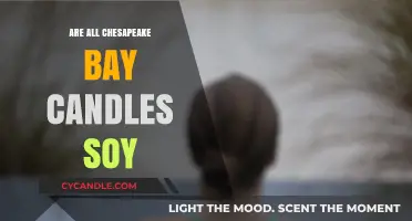 Chesapeake Bay Candles: Soy or Not?