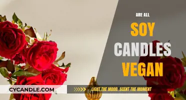 Vegan Soy Candles: What's the Buzz?
