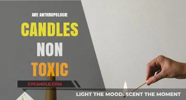 Anthropologie Candles: Are They Non-Toxic?