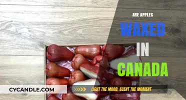 Are Canadian Apples Waxed? Uncovering the Truth About Fruit Coatings