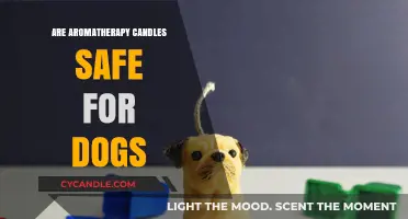 Are Aromatherapy Candles Safe for Dogs? Essential Insights for Pet Owners