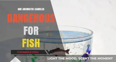 Aromatic Candles: Are They Safe for Fish?