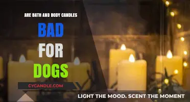 Candles and Canines: A Safe Combination?