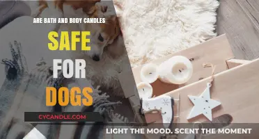 Are Bath and Body Candles Safe for Dogs? What Pet Owners Need to Know