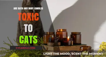 Bath and Body Candles: Safe or Toxic for Cats?