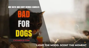 Are Bath & Body Works Candles Safe for Dogs?