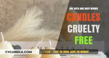 Are Bath & Body Works Candles Cruelty-Free? The Truth Revealed