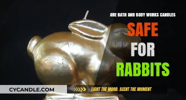 Are Bath & Body Works Candles Safe for Rabbits?