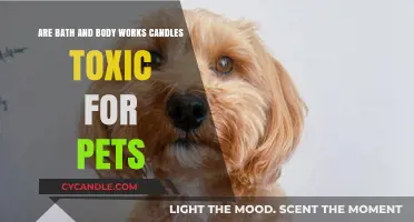 Are Bath & Body Works Candles Safe for Pets?