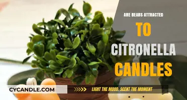 Citronella Candles: Do They Keep Bears Away?