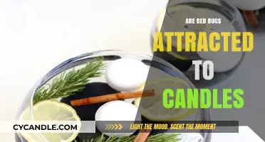 Bed Bugs and Candles: A Burning Attraction?