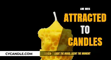 How Bees React to Candles: Attraction or Aversion?
