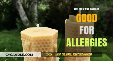 Beeswax Candles and Allergies: Natural Relief or Myth?