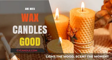 Are Beeswax Candles Worth It? Benefits, Uses, and Eco-Friendly Appeal