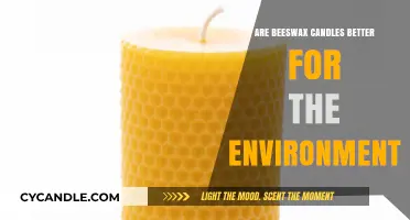 Beeswax Candles: Eco-Friendly Lighting Option?