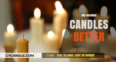 Beeswax Candles: A Natural, Eco-Friendly Alternative to Paraffin?