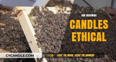 Beeswax Candles: Ethical and Natural Lighting