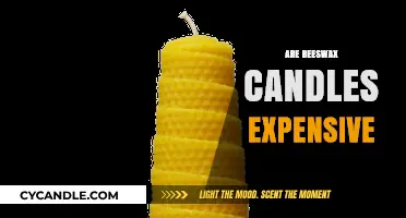Beeswax Candles: Luxurious and Expensive?