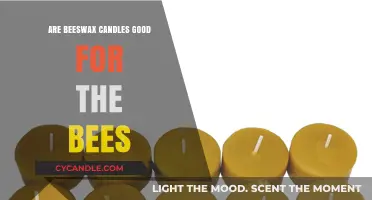 Beeswax Candles: Eco-Friendly Choice or Harmful to Bee Populations?