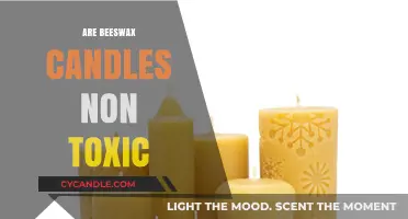 Beeswax Candles: Natural, Non-Toxic, and Healthy Illumination