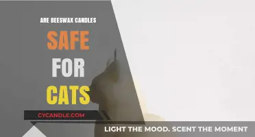 Are Beeswax Candles Safe for Cats? A Pet-Friendly Guide