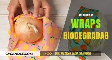Are Beeswax Wraps Biodegradable? Eco-Friendly Kitchen Alternatives Explained
