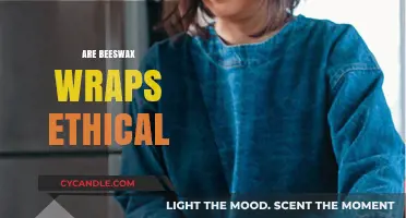 Are Beeswax Wraps an Ethical Alternative to Plastic Wrap?