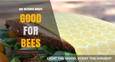 Beeswax Wraps: Eco-Friendly Choice or Harmful to Bees?