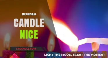 Birthday Candles: A Nice Touch or Not?