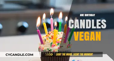 Vegan Birthday Candles: What You Need to Know
