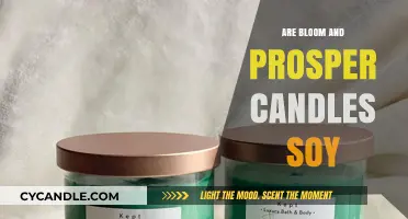 Soy Candles: Bloom and Prosper's Natural Choice
