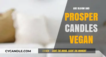 Vegan Candles: Bloom and Prosper's Ethical Promise
