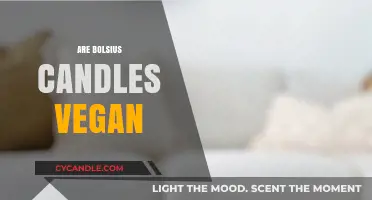 Bolsius Candles: Vegan or Not?