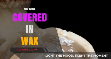 Unveiling the Truth: Are Human Bones Really Covered in Wax?