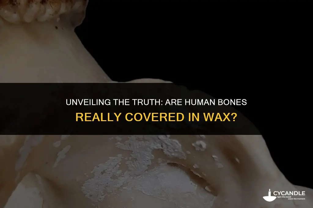 are bones covered in wax
