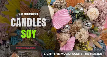 Bridgewater Candles: Soy-Based Scents for Your Home
