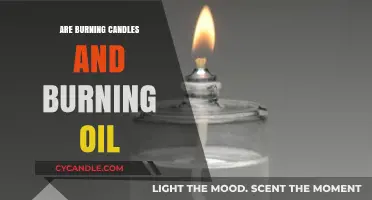 Candles vs. Oil: Comparing the Burn, Aroma, and Ambiance