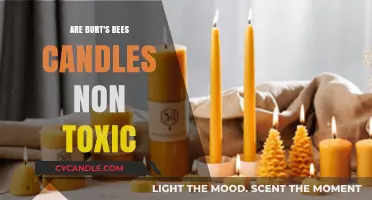 Burt's Bees Candles: Non-Toxic and Natural?