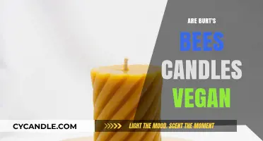 Vegan-Friendly: Burt's Bees Candles Explained