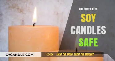 Are Burt's Bees Soy Candles Safe? A Comprehensive Review